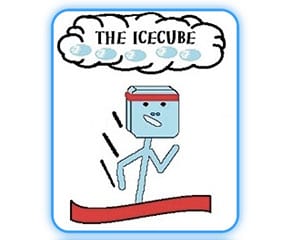 IceCube Half Marathon, 10K & 5K logo on RaceRaves