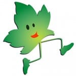 Middlebury Maple Run logo on RaceRaves