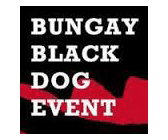 Bungay Festival of Running logo on RaceRaves