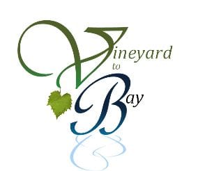 Vineyard to Bay logo on RaceRaves