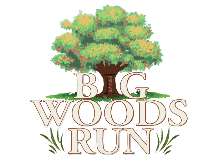 Big Woods Run logo on RaceRaves
