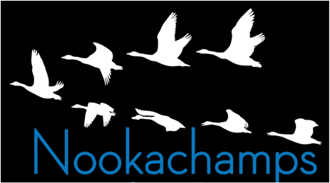 Nookachamps Winter Runs logo on RaceRaves