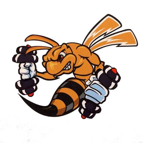 Hornet Run logo on RaceRaves