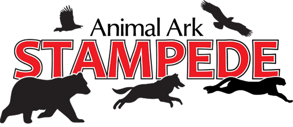 Animal Ark Stampede Race Reviews | Reno, Nevada