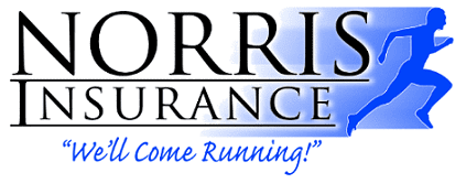 Norris Insurance Road Races – Kokomo 4 Mile logo on RaceRaves
