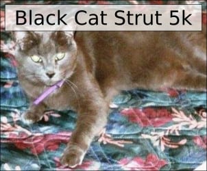 Black Cat Strut 5K logo on RaceRaves