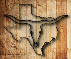Texas Quad Day 1: Marathon and Half logo on RaceRaves