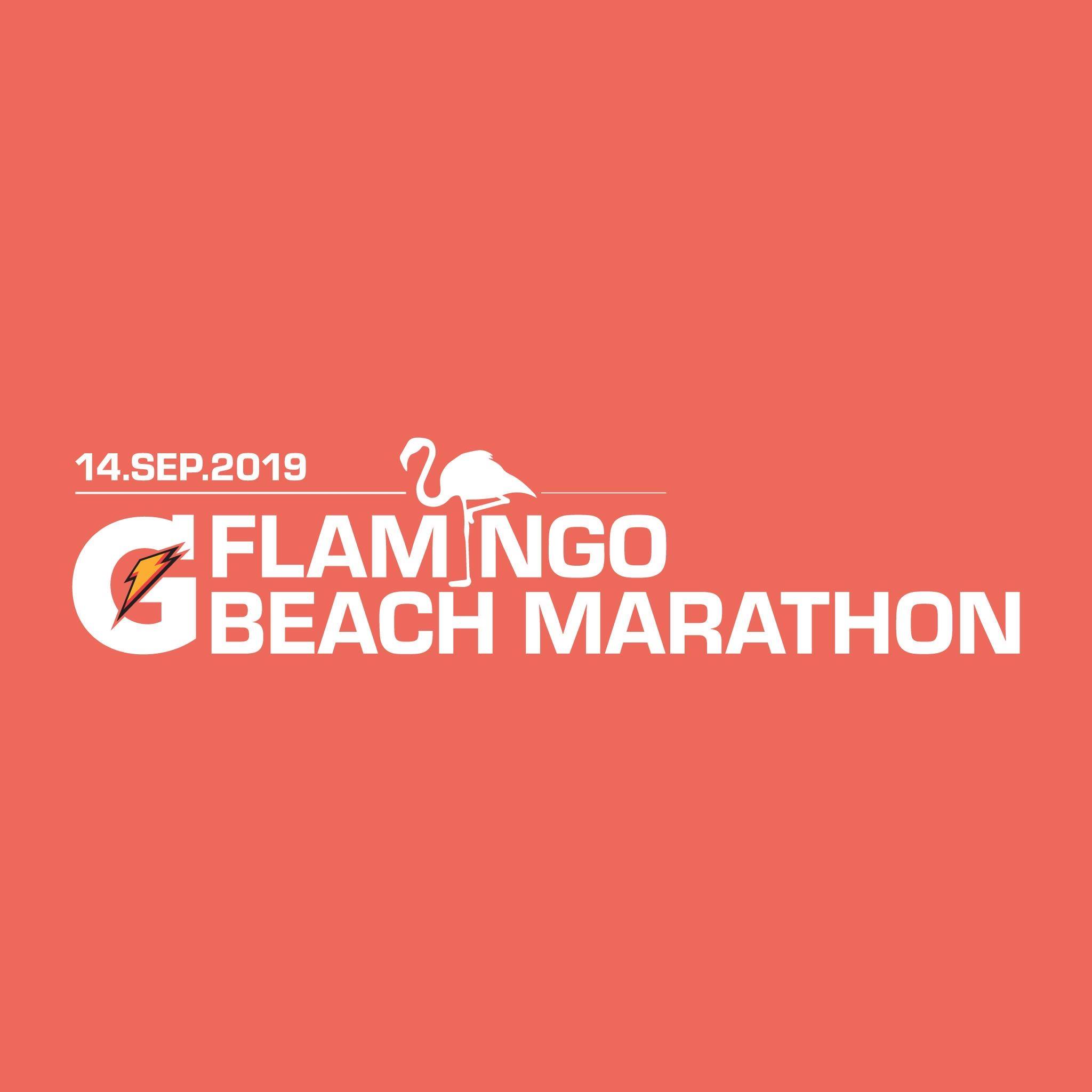 Flamingo Beach Marathon (fka Tamarindo Beach Marathon) logo on RaceRaves