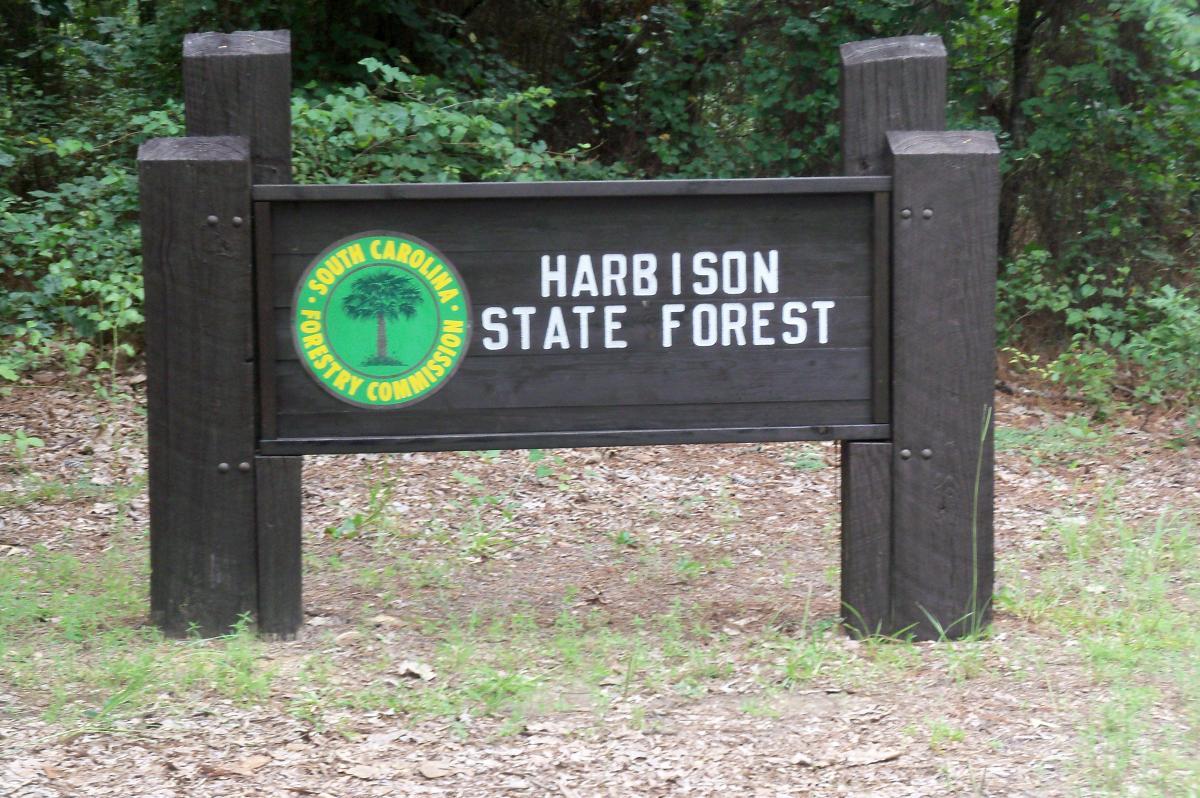 Harbison State Forest Half Marathon & 5K logo on RaceRaves