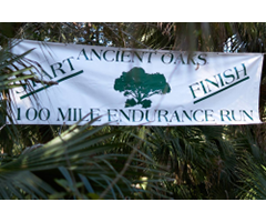 Ancient Oaks 100 Mile Endurance Run logo on RaceRaves