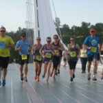 Lions Turtle Bay Run logo on RaceRaves