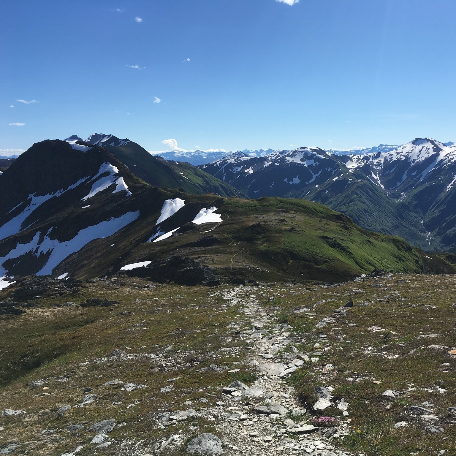 Juneau Ridge Race logo on RaceRaves