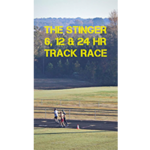 The Stinger logo on RaceRaves