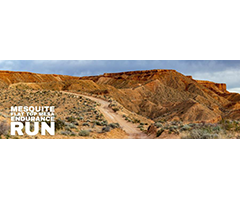 Mesquite Flat Top Mesa Endurance Run logo on RaceRaves