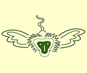 Harpeth Hills Flying Monkey Marathon logo