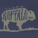 Buffalo Mountain Endurance Run Challenge logo on RaceRaves