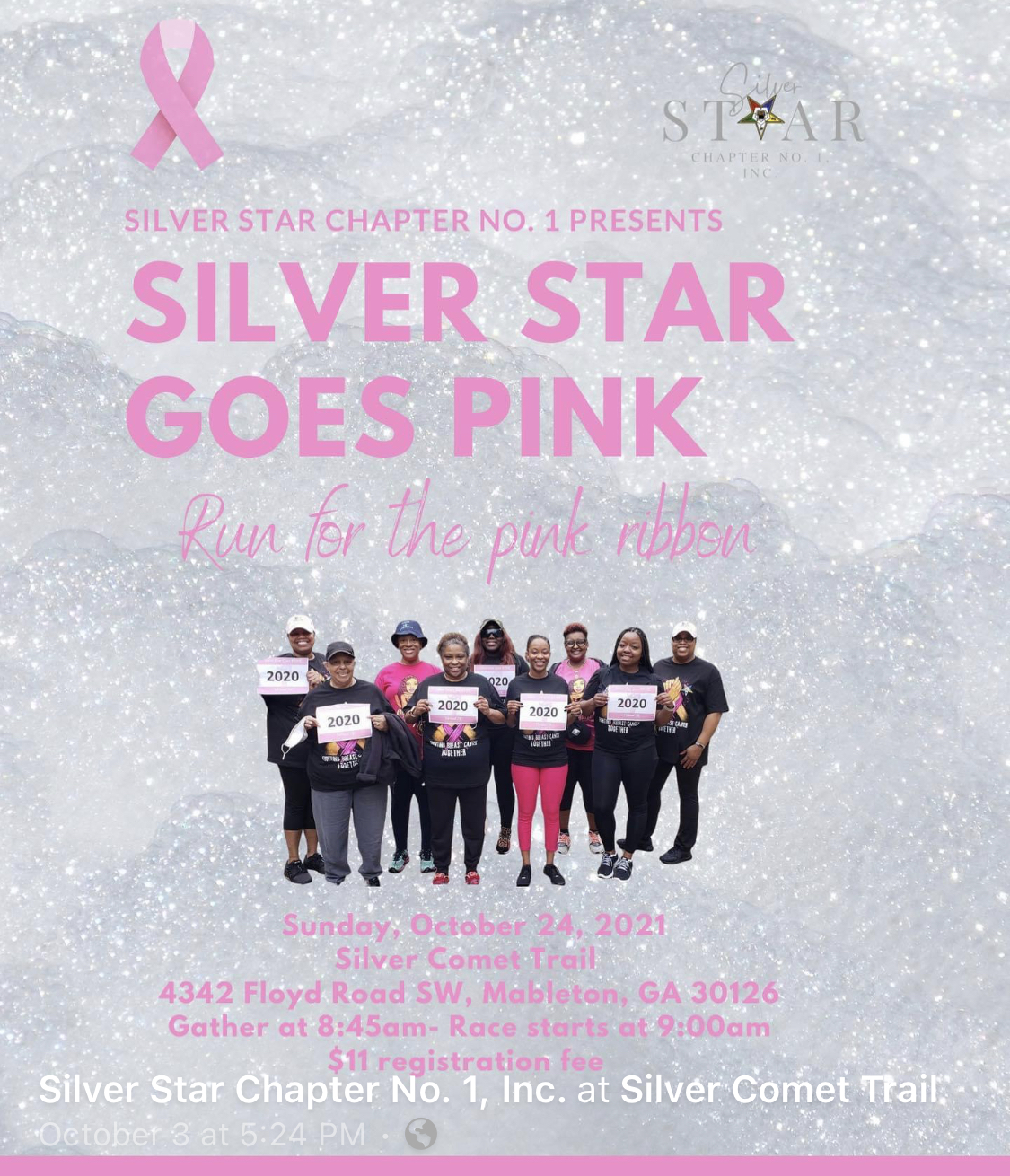 Silver Star Breast Cancer Walk 5K logo on RaceRaves