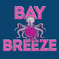 Bay Breeze Half Marathon, 10K & 5K logo on RaceRaves