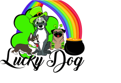 Lucky Dog 5K Schaumburg logo on RaceRaves