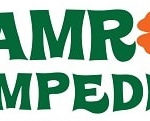 Shamrock Stampede logo on RaceRaves