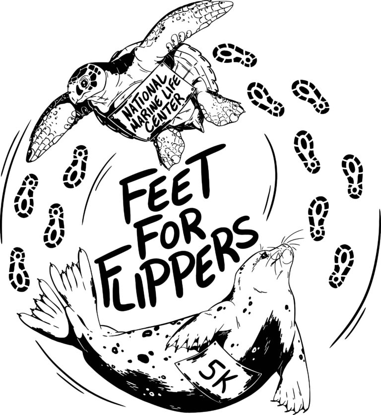 Feet for Flippers 5K logo on RaceRaves