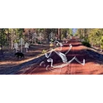 Great Shasta Rail Trail logo on RaceRaves
