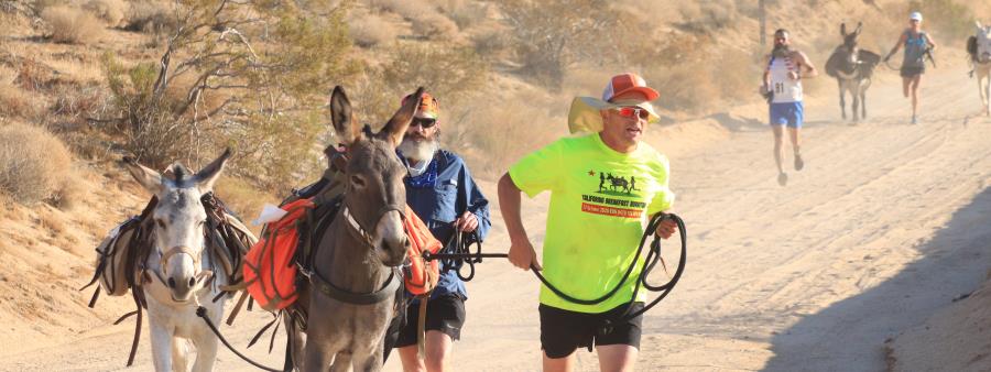 Run with the Burros logo on RaceRaves