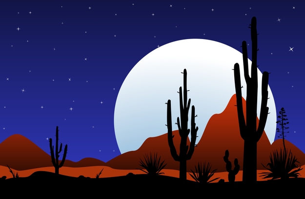 Desert Night Race 3 logo on RaceRaves