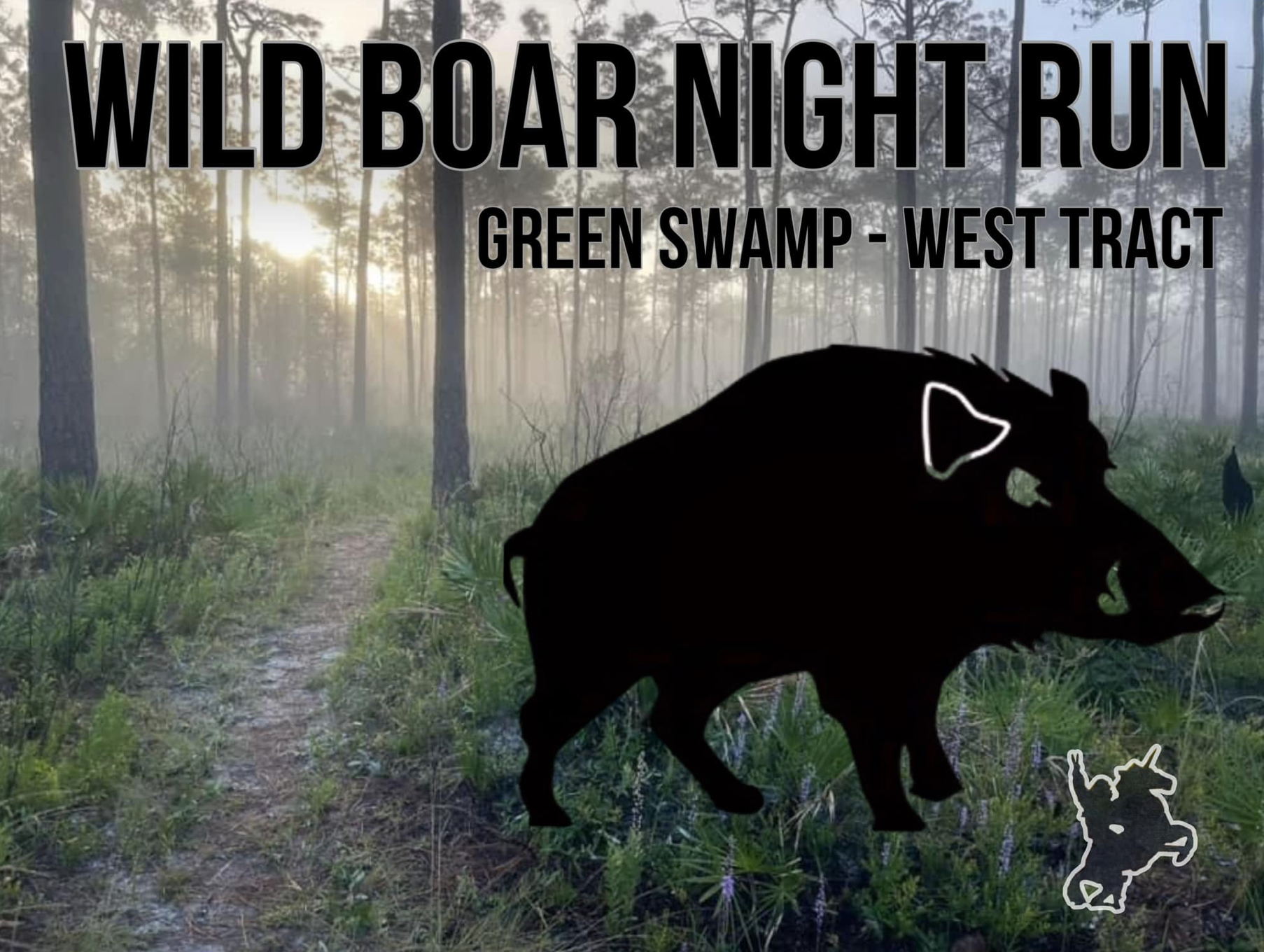 Wild Boar Night Run logo on RaceRaves