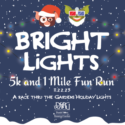 Bright Lights 5K and 1 mile Fun Run logo on RaceRaves