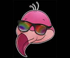 Frozen Flamingo 50K logo on RaceRaves