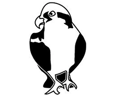 Westport Island Shore Run 10K logo on RaceRaves