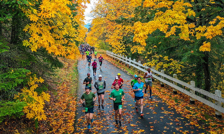 Runners and fall foliage at the Columbia Gorge Marathon