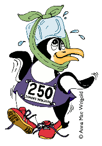 Torrington Road Race logo on RaceRaves