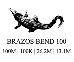 Brazos Bend 100 logo on RaceRaves