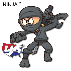 Ninja 5K, 10K, & 13.1M at Biglerville, PA logo on RaceRaves