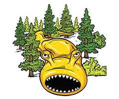 Trailquake Half Marathon, 10K & 5K logo on RaceRaves