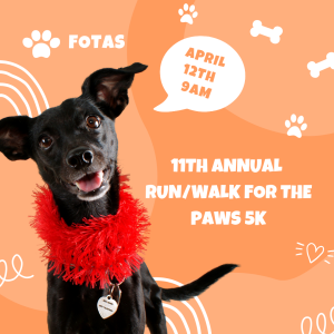 Run/Walk for the Paws 5K logo on RaceRaves