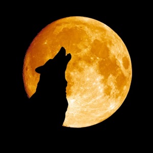 Howl at the Moon 8 Hour Ultra logo on RaceRaves