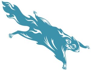 Flying Squirrel Ten Miler logo on RaceRaves