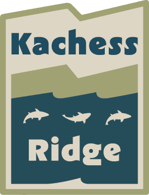 Kachess Ridge 50 logo on RaceRaves
