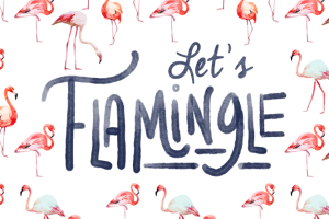 Let’s Flamingle logo on RaceRaves